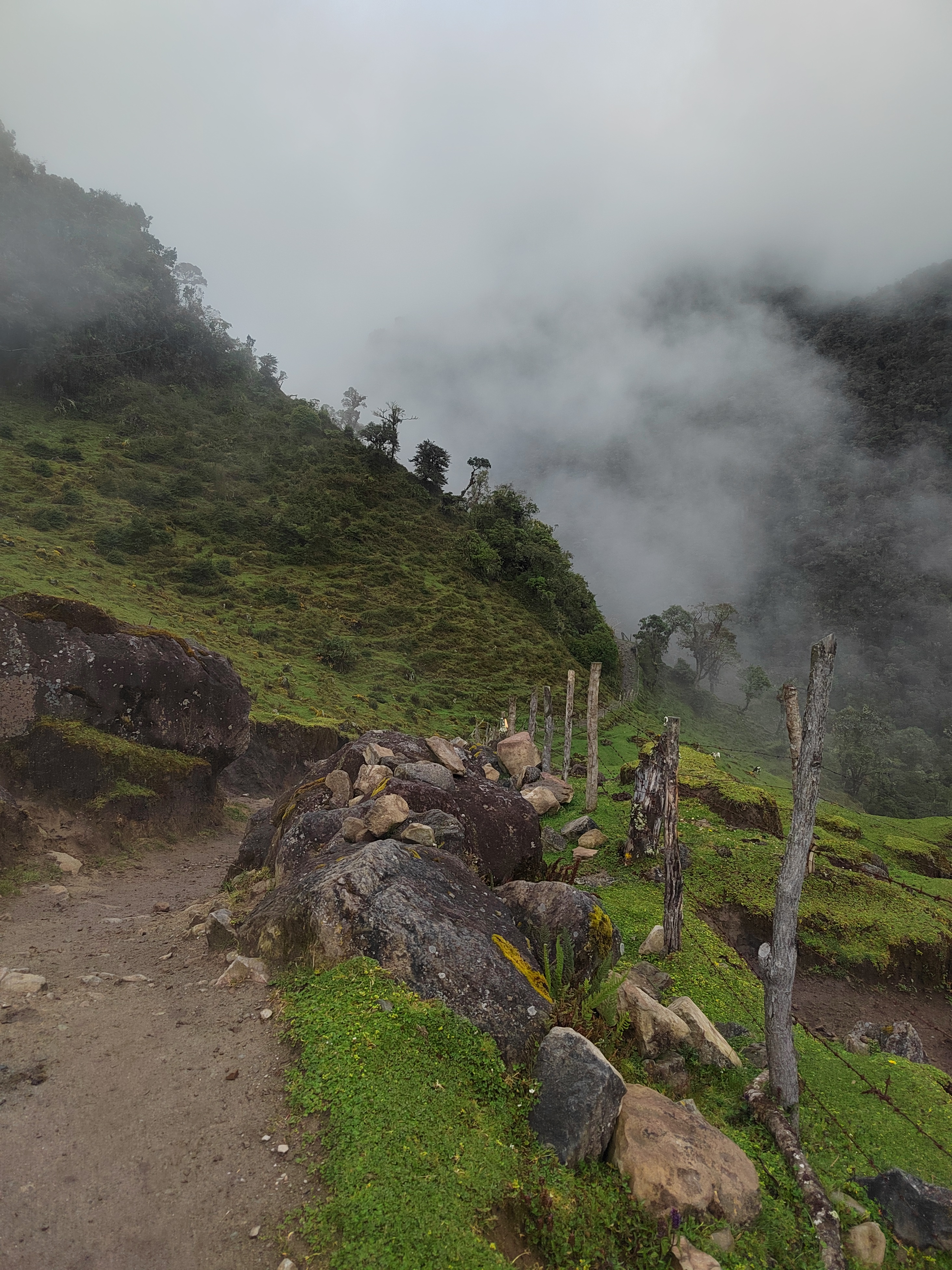 Bosque y Páramo