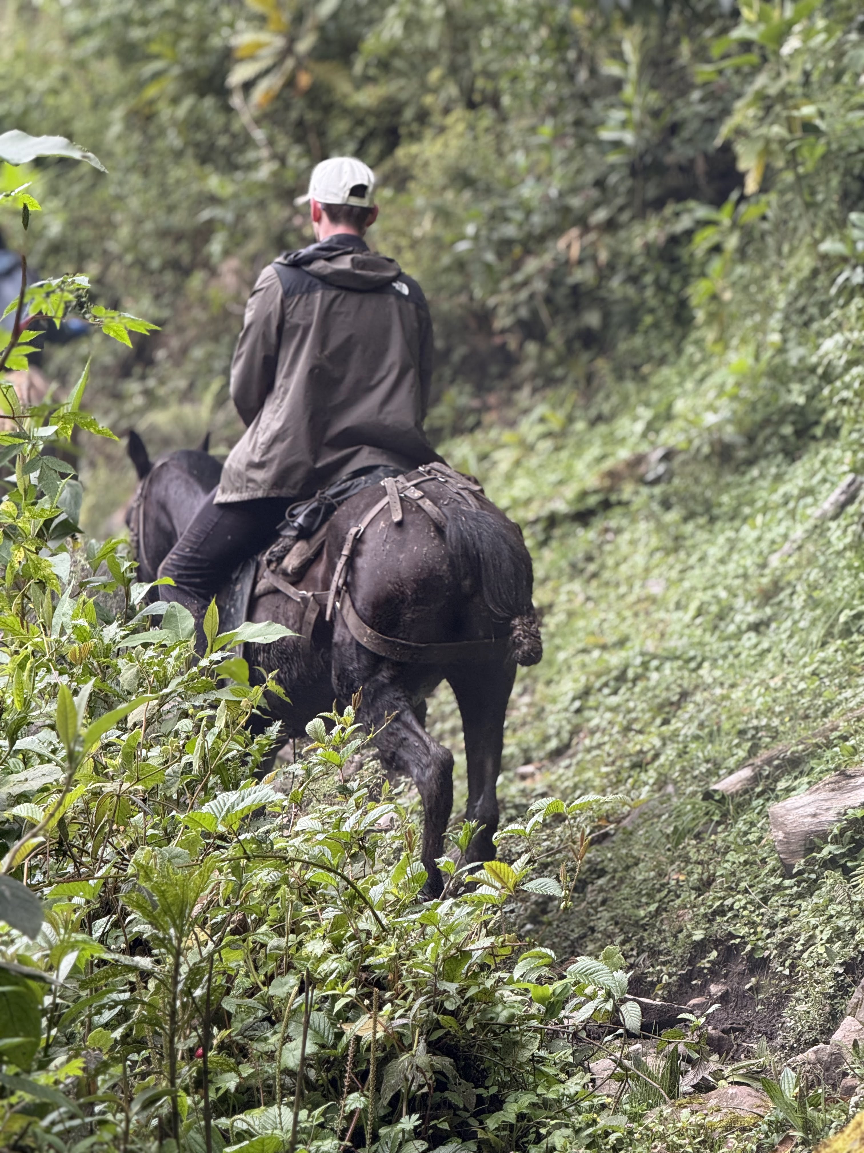 Ruta Dulima 3