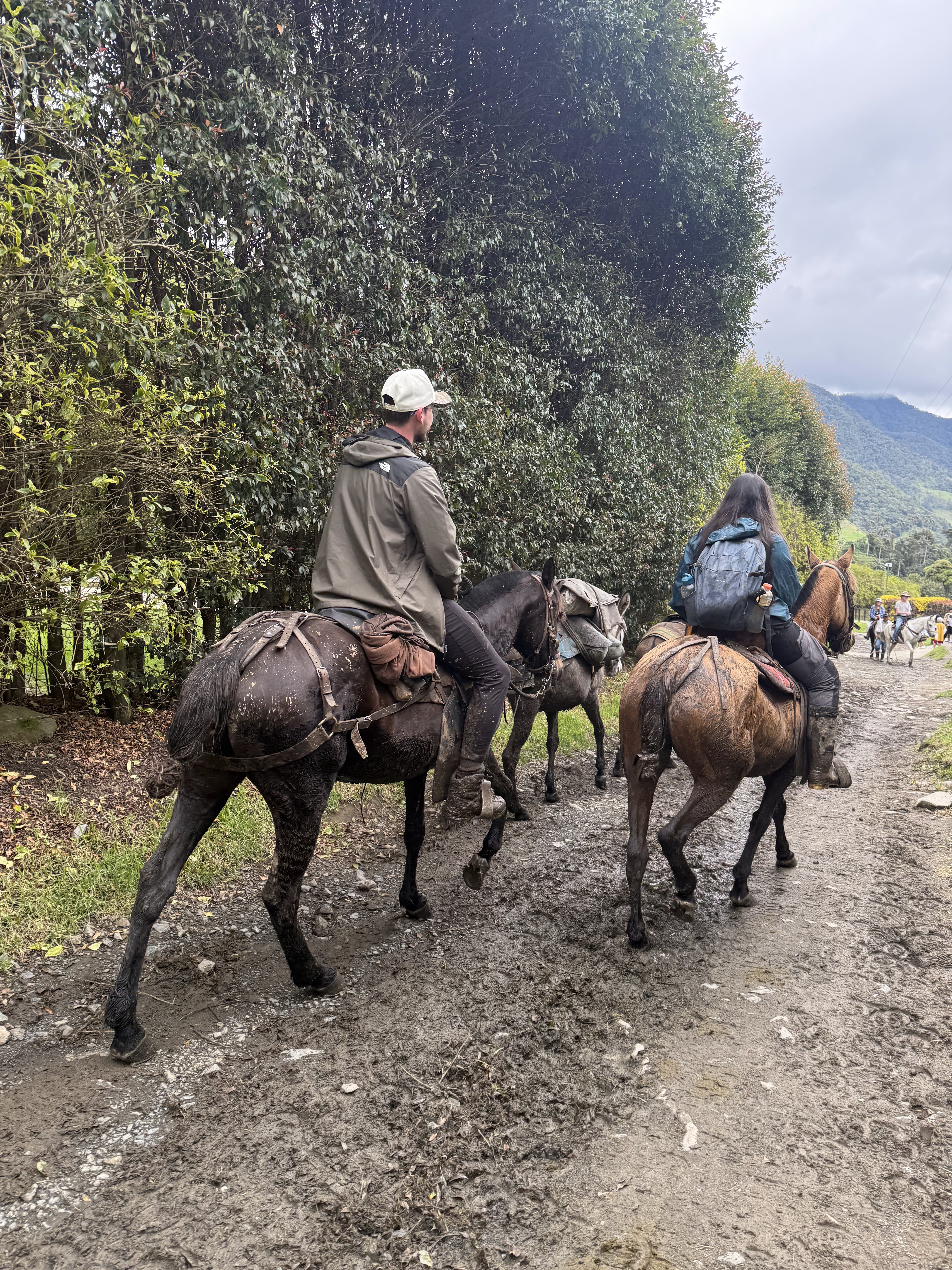 Ruta Dulima 4