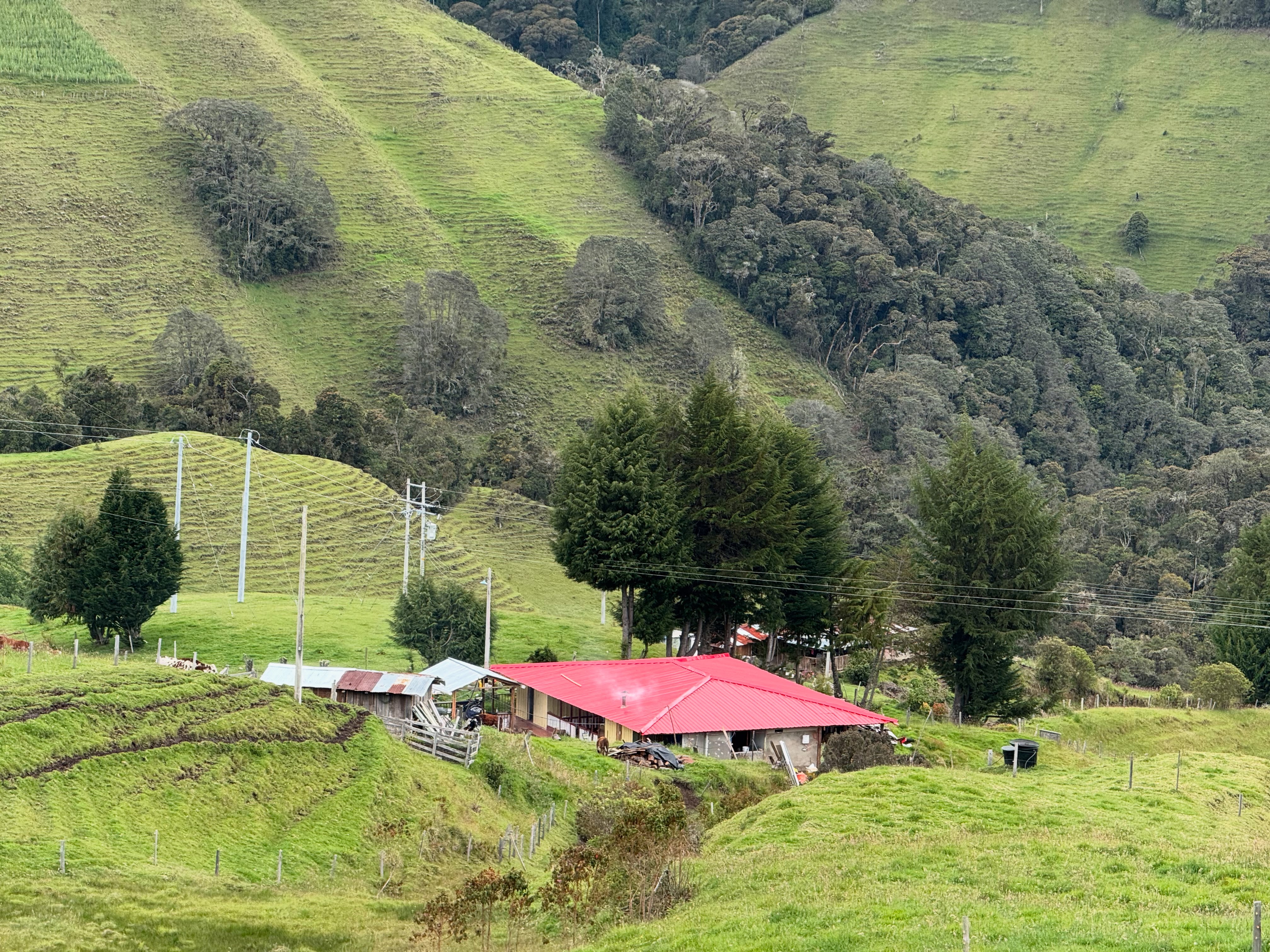 Ruta D 1