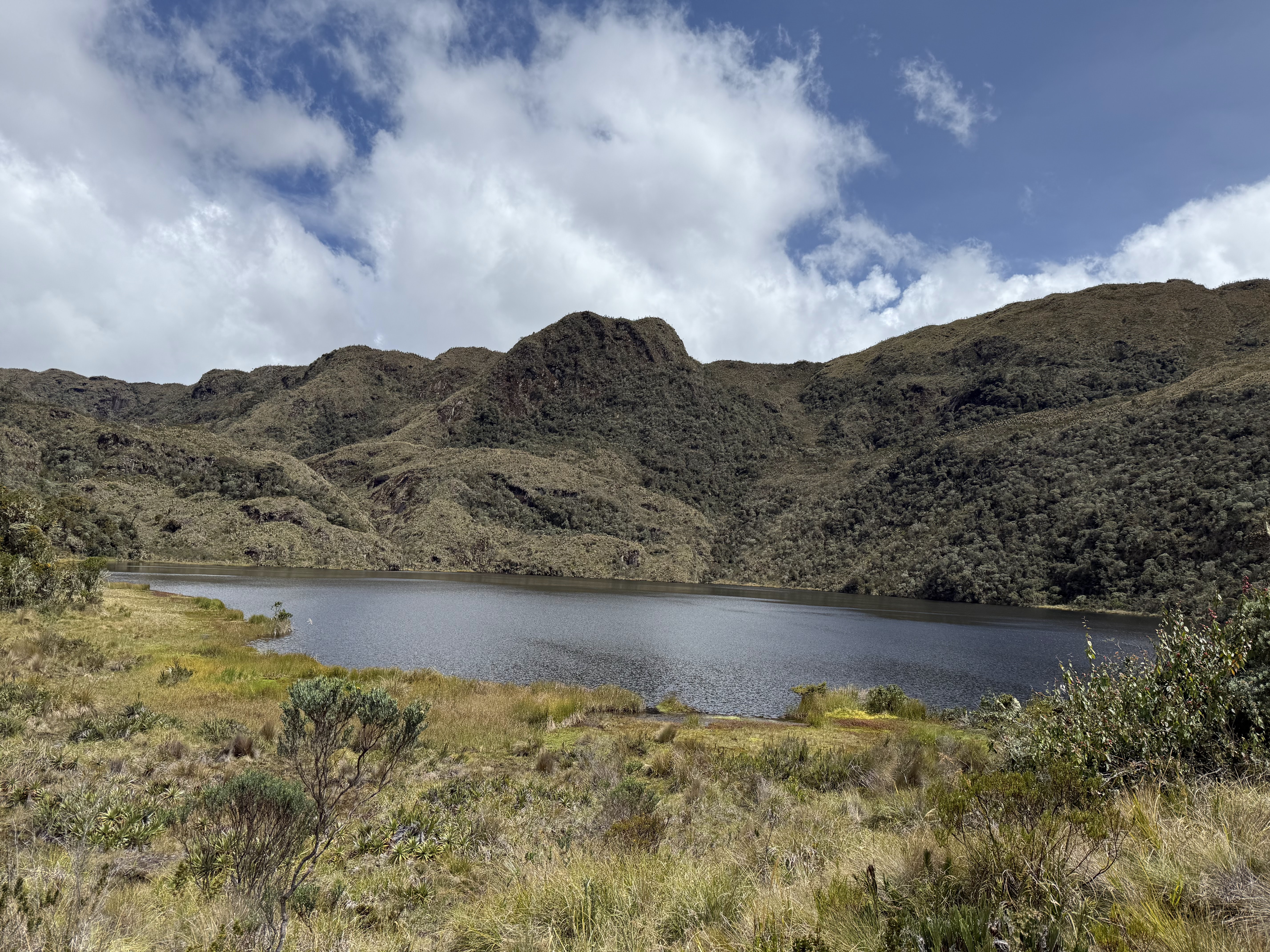 Ruta D 5