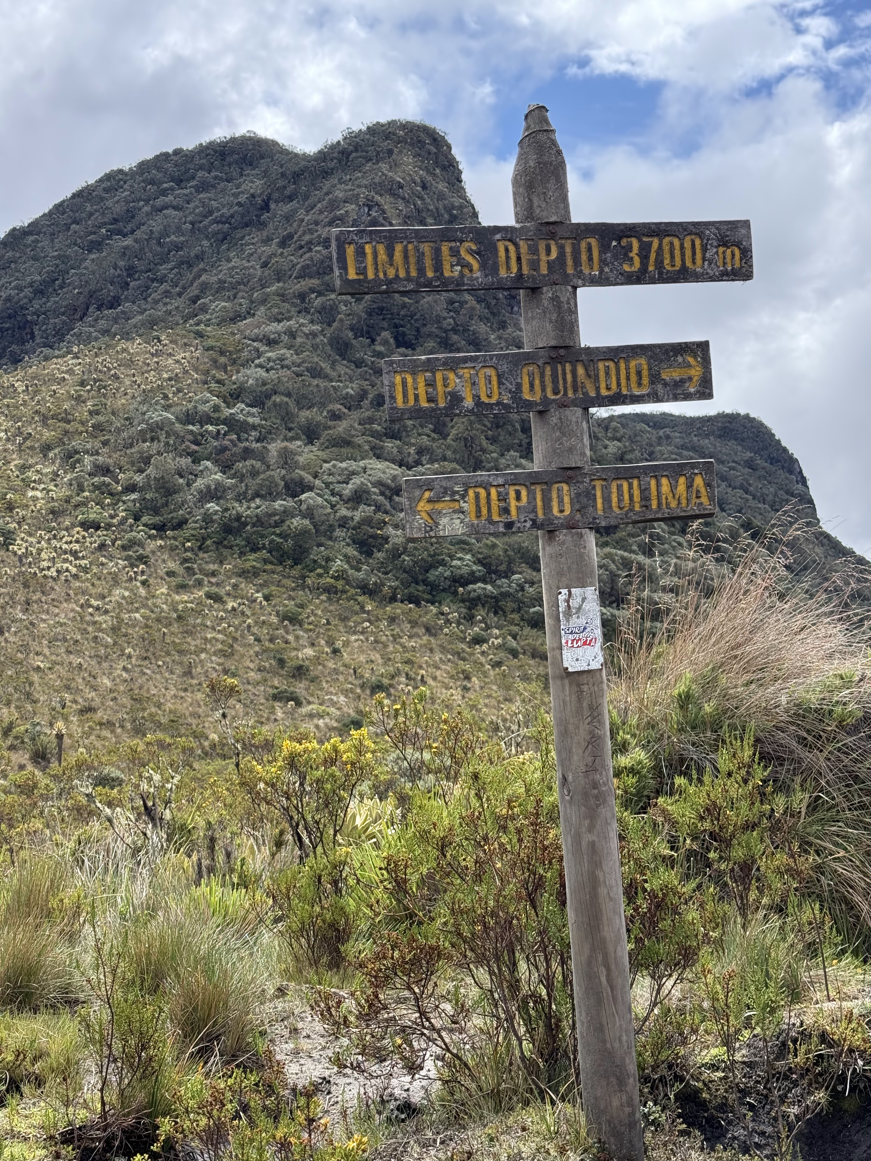 Ruta Dulima